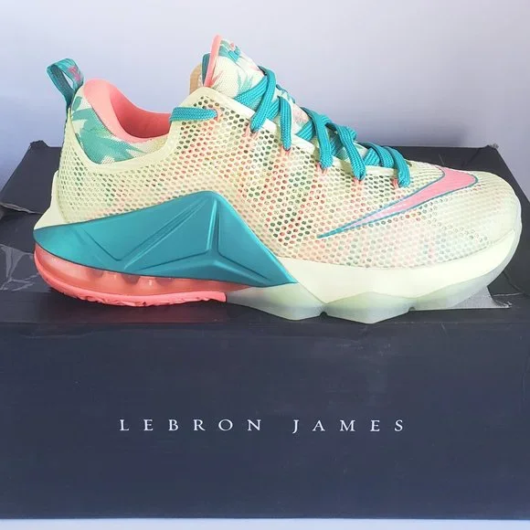 Lebron XII Low PRM in Damaged Box Men's - #62